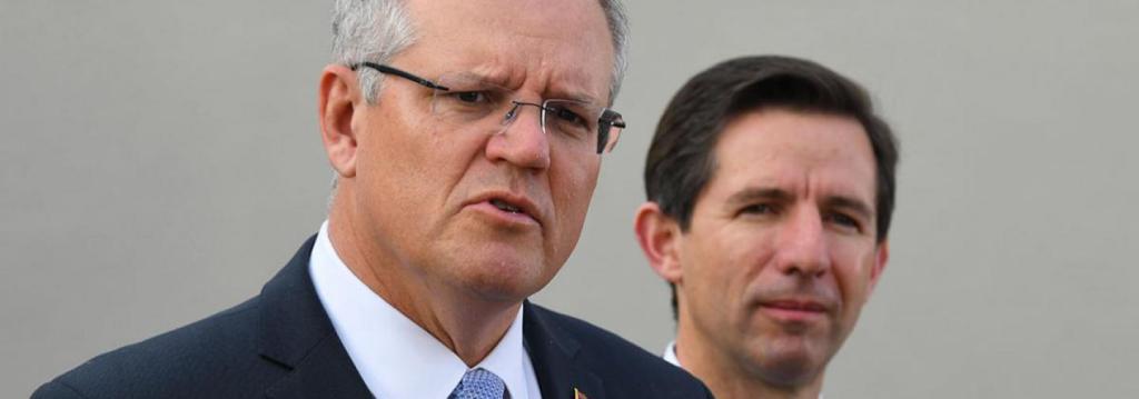 Did the parliamentary cat forget to order the&nbsp;RATs