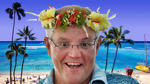 Morrison reaped what he had&nbsp;sown